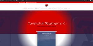 Schulung Benutzer Homepage @ Turnerschaft Göppingen